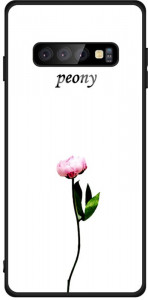 - Toto Glass Fashionable Case Samsung Galaxy S10 Peon on White