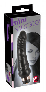  You2Toys Mini Vibrator 