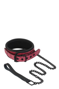  Dreamtoys Blaze Collar &; Leash 