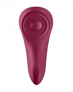 -   Satisfyer Sexy Secret 6