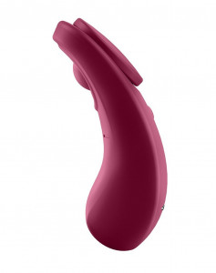 -   Satisfyer Sexy Secret 7