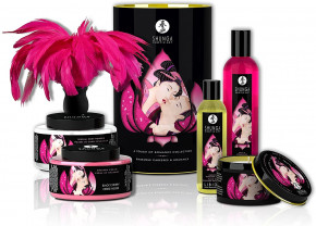   Shunga Romance Cosmetic Kit