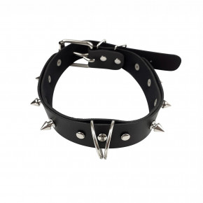      Art of Sex Collar Spikes and Leash 3