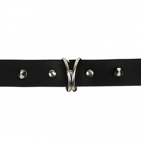      Art of Sex Collar Spikes and Leash 4