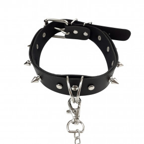      Art of Sex Collar Spikes and Leash 7