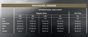 ̳-    Penthouse Eye-Catcher  S/L 3