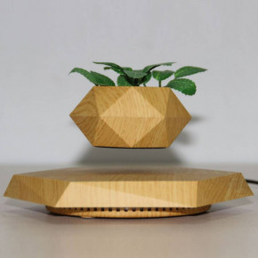   Levitating pot  (LEVP0001TR2) 5