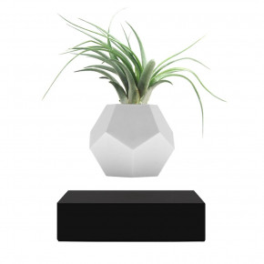   Flyte Planter 