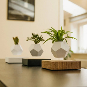   Flyte Planter  4