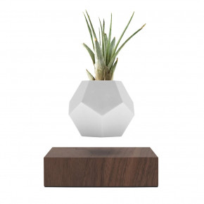   Flyte Planter 