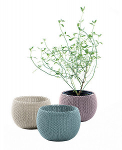    Keter Cozies Herb Pot (7290106932159)