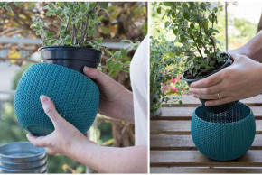    Keter Cozies Herb Pot (7290106932159) 3