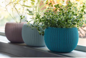    Keter Cozies Herb Pot (7290106932159) 4