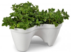    Keter IVY planter - (7290103661380)