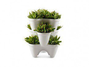    Keter IVY planter - (7290103661380) 4