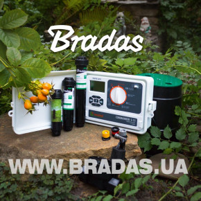    Bradas WHITE LINE WL-31S11 7