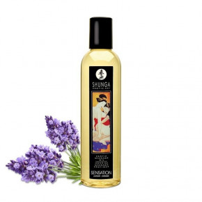   Shunga Sensation - Lavender (250 )