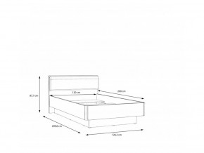  Forte Snow SNWL222 (53296) 4