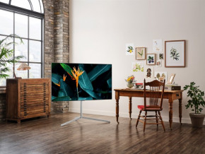  LG OLED55G16LA 11