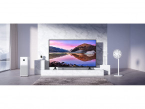  Xiaomi Mi TV P1E 55 (L55M7-7AEU) (L55M7-7AEU) 8