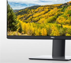  Dell 23.8 P2421D (210-AVKX) IPS Black 4