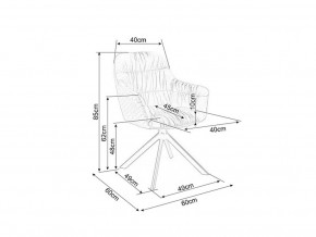   Signal Astoria II Velvet (50890) 5