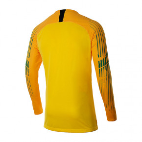  Nike GARDIEN Long Sleeve XL (898043-719) 3