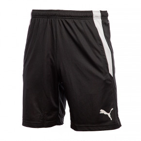  Puma teamLIGA Training Shorts 2 L (65766703)