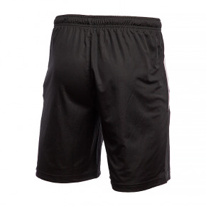  Puma teamLIGA Training Shorts 2 L (65766703) 3