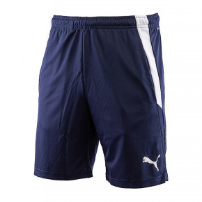  Puma teamLIGA Training Shorts 2 L (65766706)