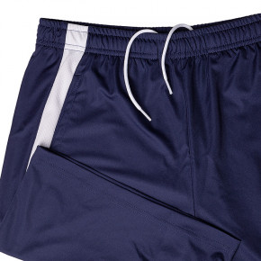  Puma teamLIGA Training Shorts 2 L (65766706) 3