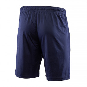  Puma teamLIGA Training Shorts 2 S (65766706) 3