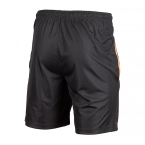  Puma teamLIGA Training Shorts 2 L (65766750) 3