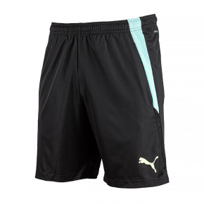  Puma teamLIGA Training Shorts 2 L (65766751)