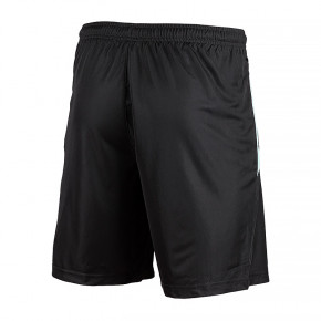  Puma teamLIGA Training Shorts 2 L (65766751) 3