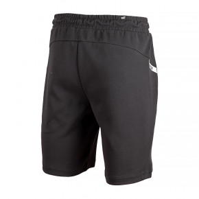  Puma RAD/CAL Shorts L (67331901) 3