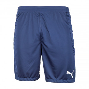  Puma teamFINAL 21 knit Shorts M (70425706)