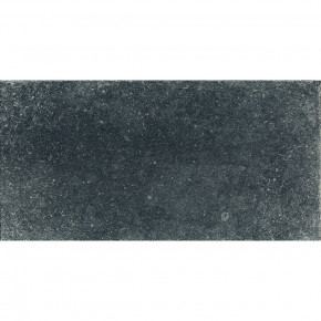    Aquaviva Granito Black, 448x898x20  (25264)