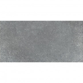    Aquaviva Granito Gray, 448x898x20  (25266)