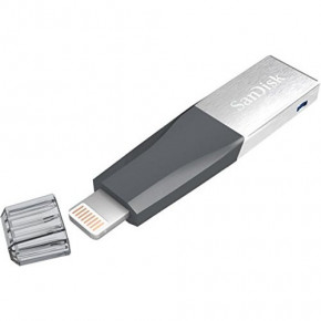 USB-flash  Sandisk 32 GB iXpand Mini (SDIX40N-032G-GN6NN) (dnd-145468)