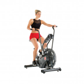  SCHWINN AIRDYNE AD6i (708447907202)