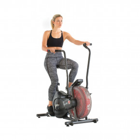  Schwinn Airdyne AD2 3