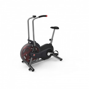  Schwinn Airdyne AD2 4