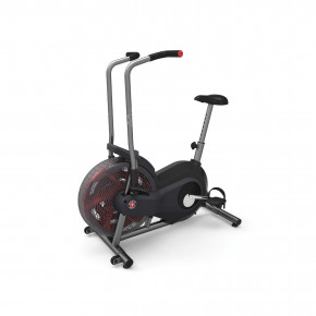  Schwinn Airdyne AD2 6