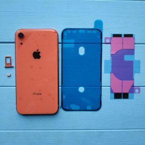  Apple iPhone XR Coral 4