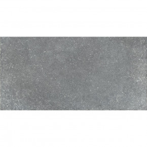    Aquaviva Granito Gray 298x598x9.2  (24693)