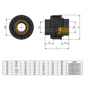  EFFAST RGRBBD020B.N    d20x1/2 (19100) 4