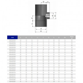  EFFAST RDRTRD020A 90  d20x16  (18844) 3