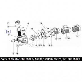   Emaux SS 89022401/01112051 19