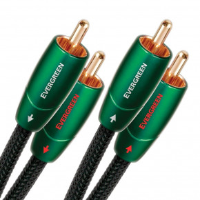  AudioQuest Evergreen RCA 1.0m